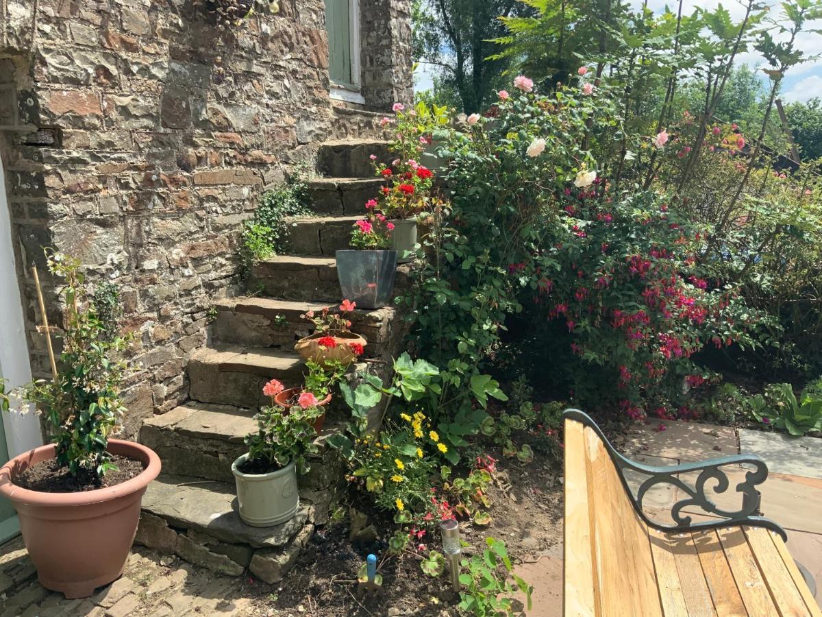 Chittlehampton Higher Biddacott Farm المظهر الخارجي الصورة