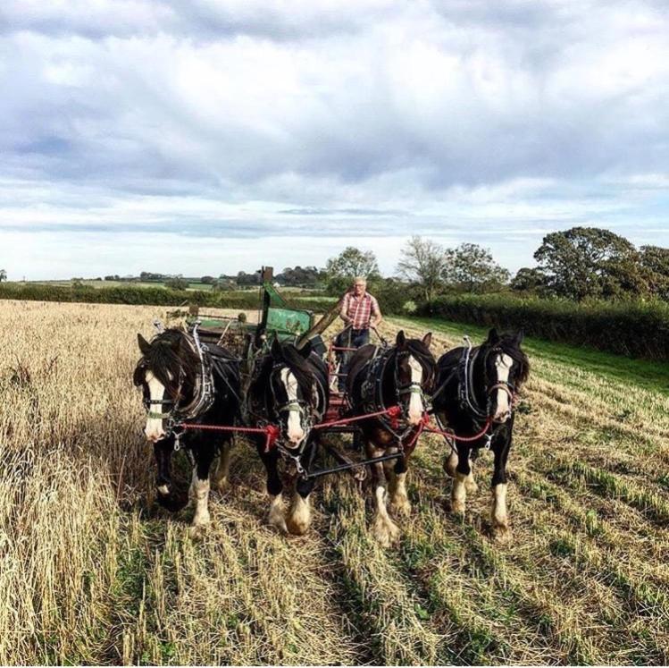 Chittlehampton Higher Biddacott Farm المظهر الخارجي الصورة