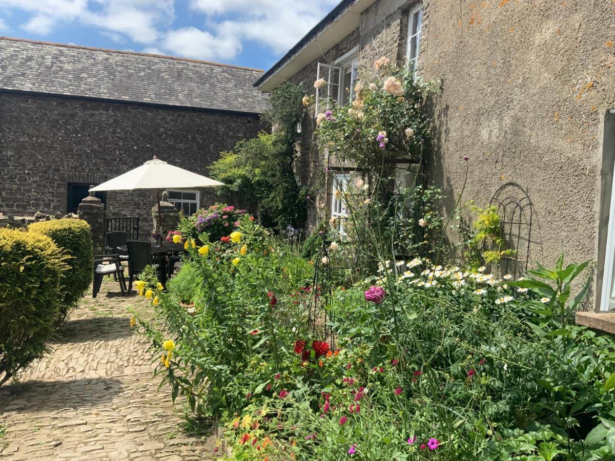 Chittlehampton Higher Biddacott Farm المظهر الخارجي الصورة